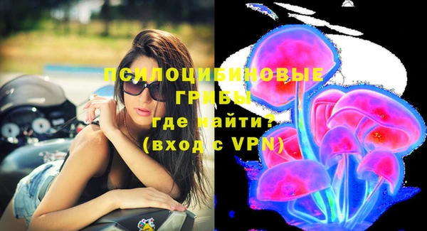а пвп мука Алзамай