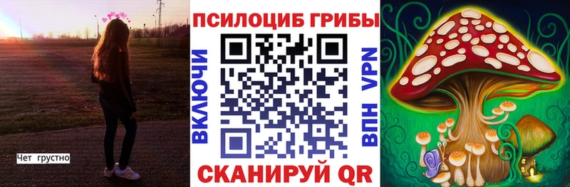 купить наркоту  блэк спрут ССЫЛКА  Галлюциногенные грибы ЛСД  Тобольск 
