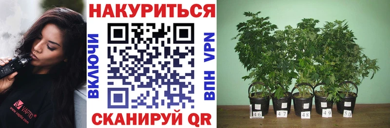 Марихуана LSD WEED  Тобольск 